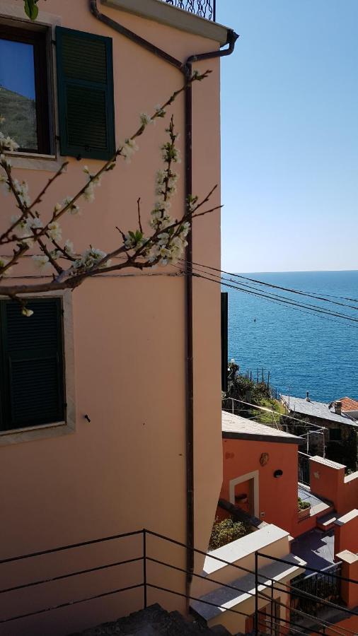 Studio "Mare" Hotel Riomaggiore Kültér fotó